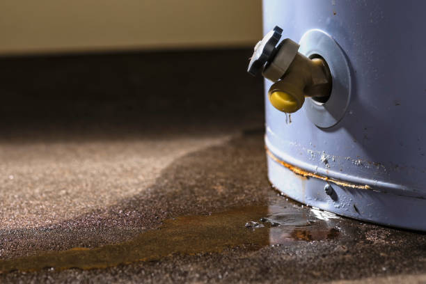 Best Mold removal after water damage  in Rkside, PA