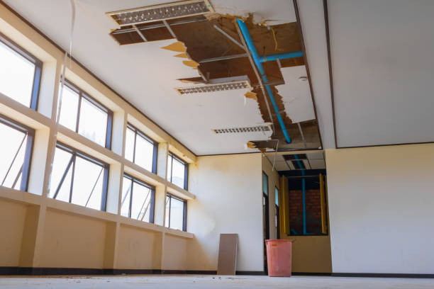 Best Water damage cleanup near me  in Rkside, PA