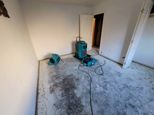 Best 24-hour water damage restoration  in Rkside, PA
