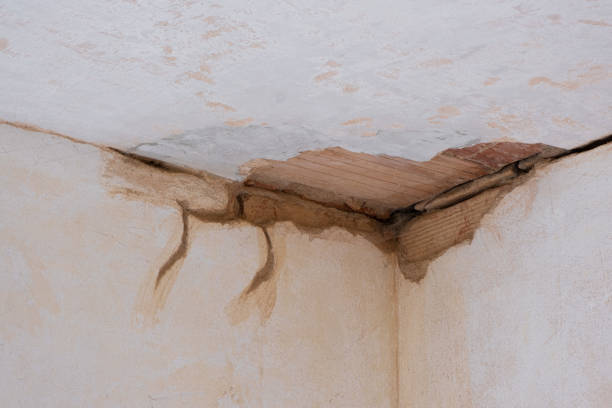 Best Water damage mitigation services  in Rkside, PA