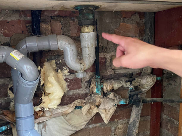 Best Carpet water damage restoration  in Rkside, PA