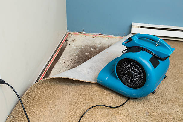 Best Flooded house restoration  in Rkside, PA
